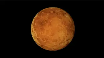 Evidence of Life on Venus
