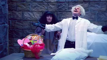 The Mad Scientist Ruins Valentine's Day