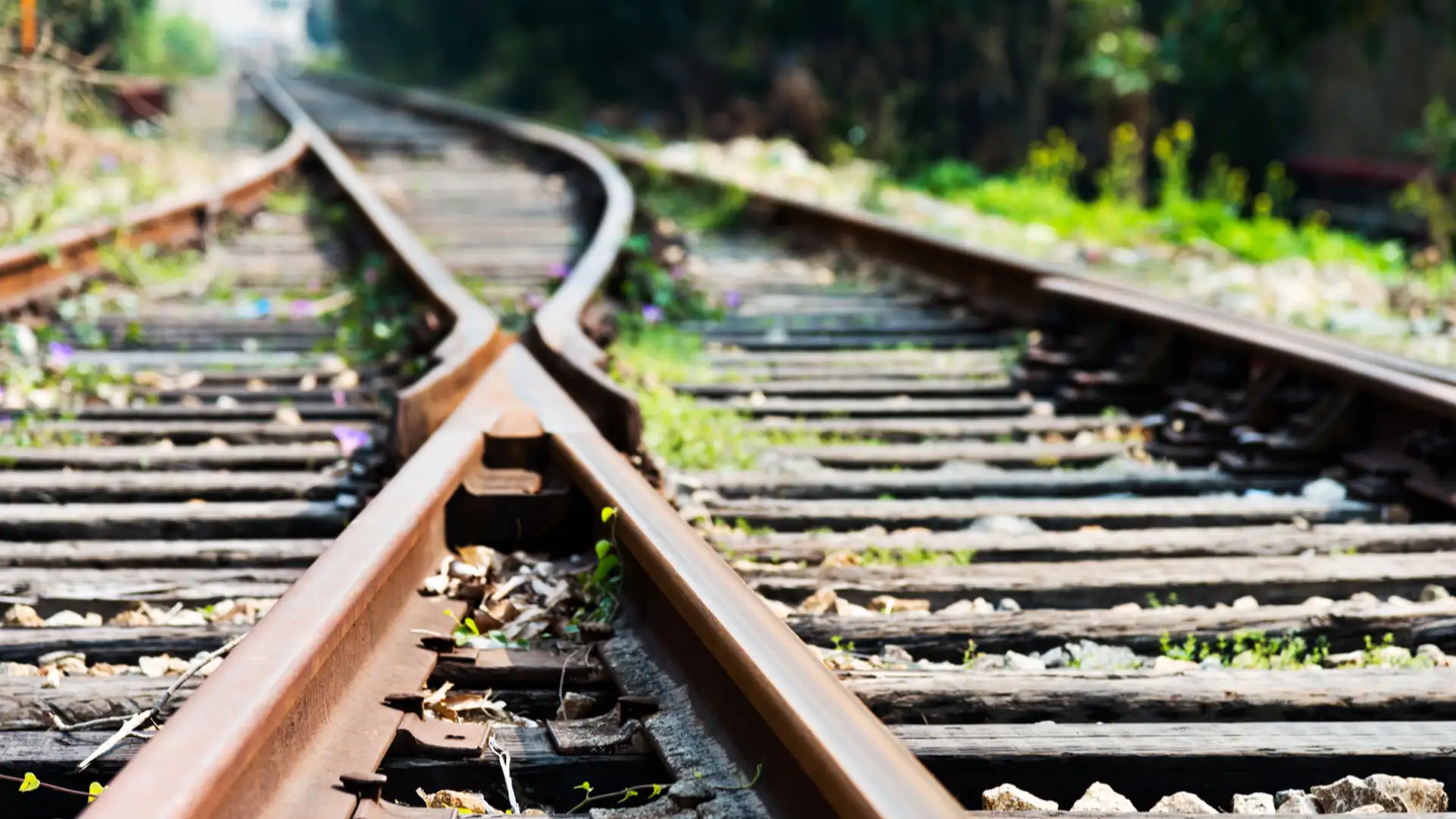 The Railroad War That Made the West