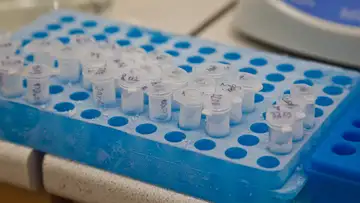Freezing Animal DNA for the Future
