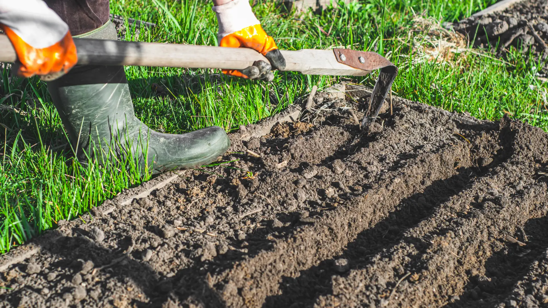 Yielding to the Master Gardener