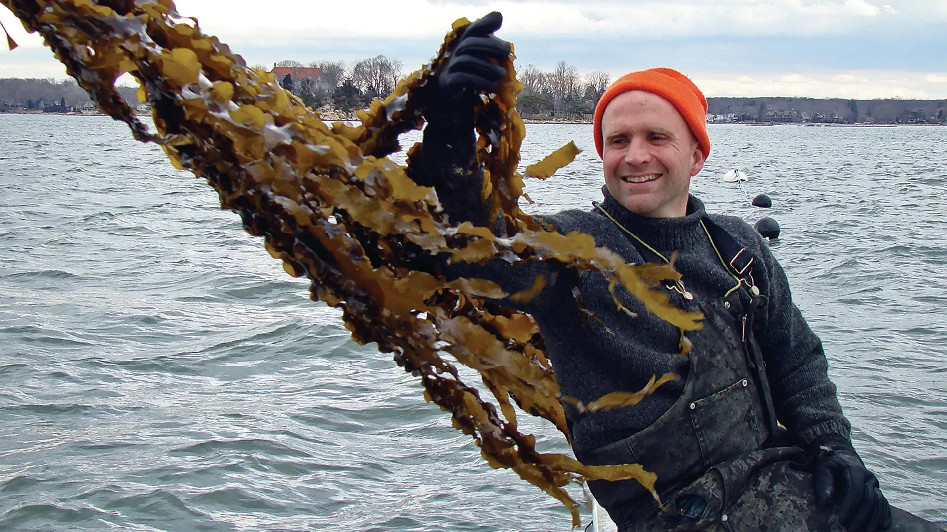 Farming the Sea