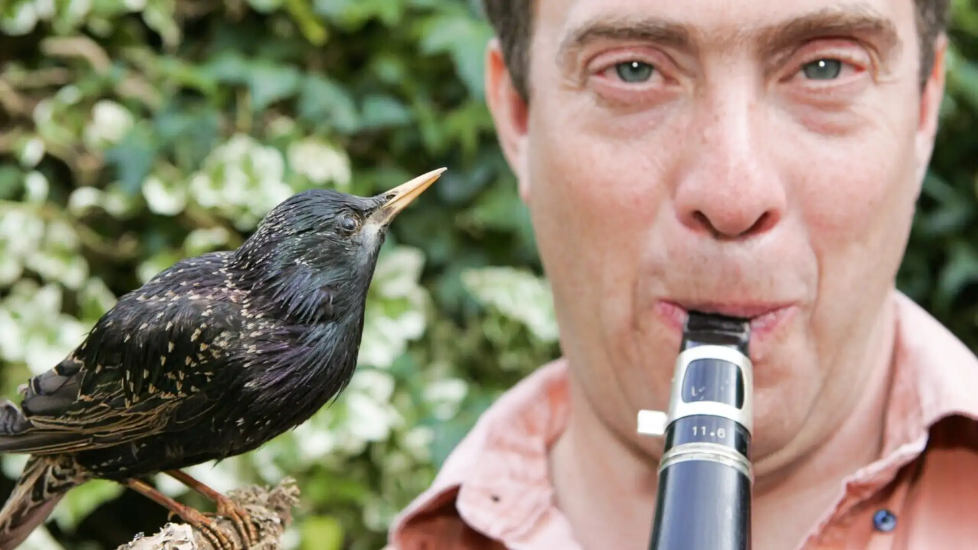 S2 E14: Animal Duets