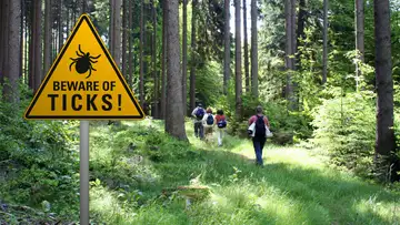 Lyme Disease Awareness