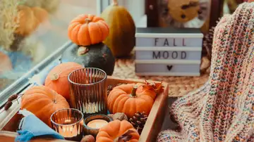 Fall Trends