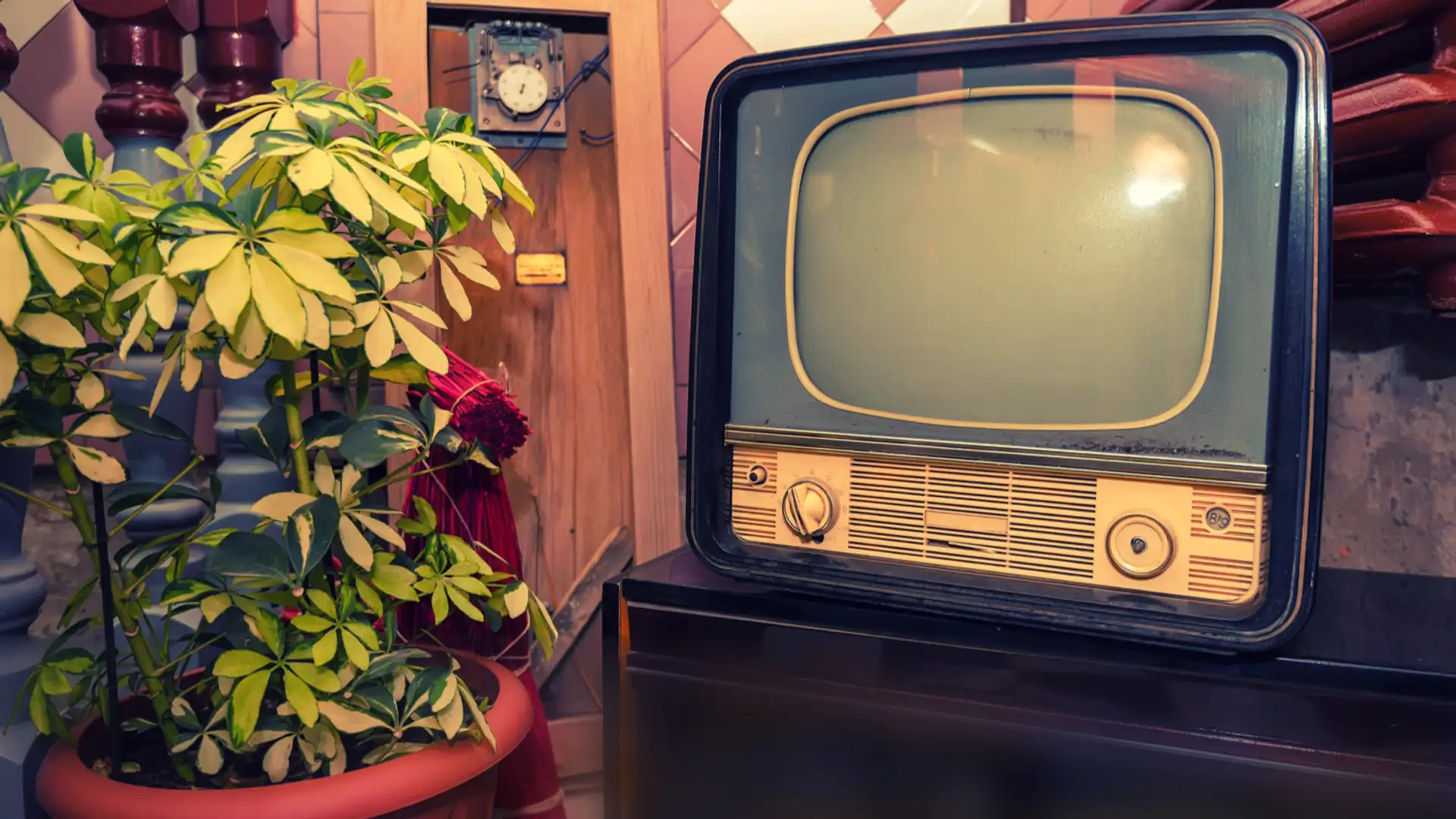 When Women Invented TV