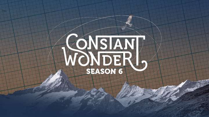 TRAILER: Season 6 of Constant Wonder