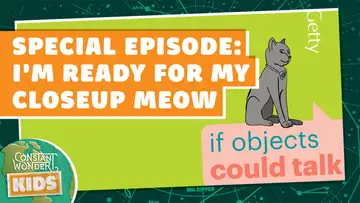 Special Episode: I'm Ready for My Closeup Meow
