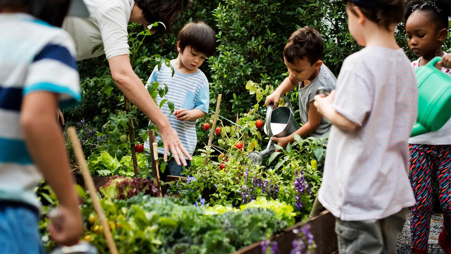 Our Earthly Stewardship