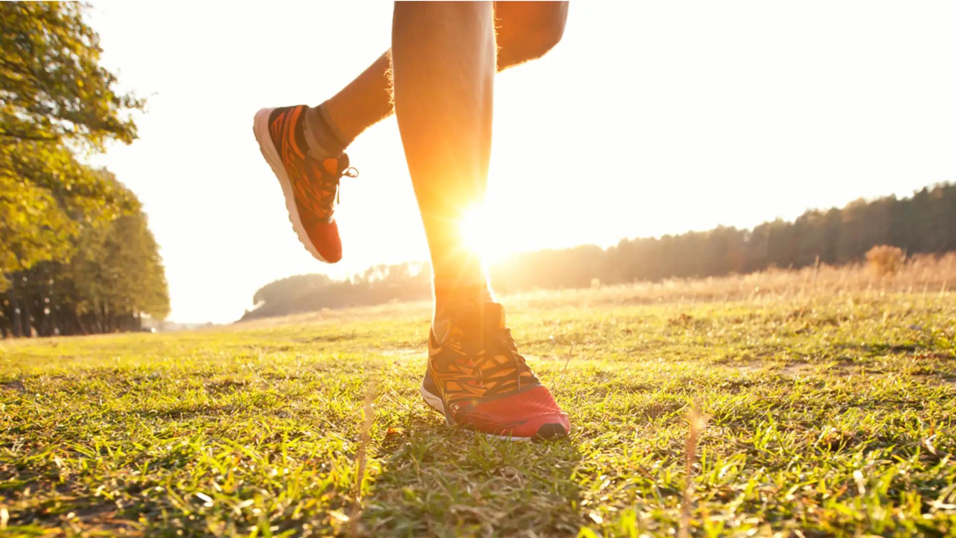 From Felon to Fitness to Free