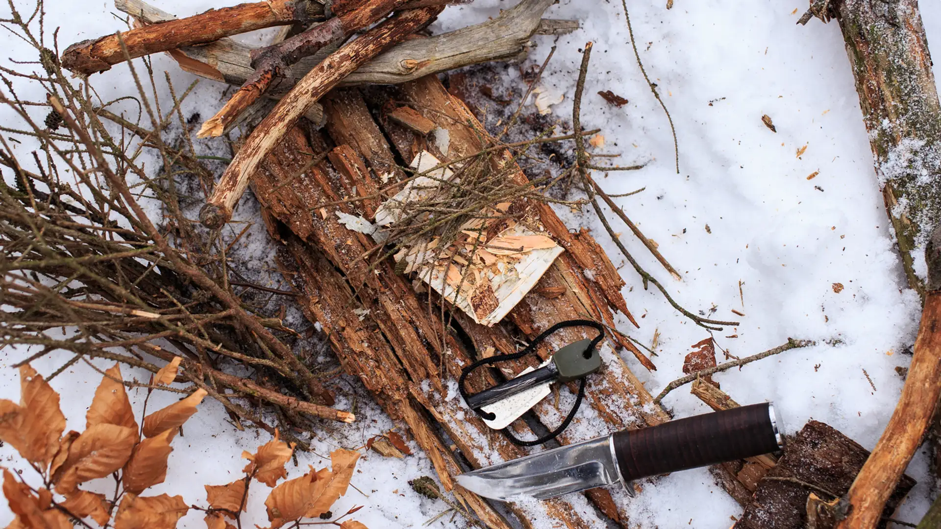 Optimism in Adversity