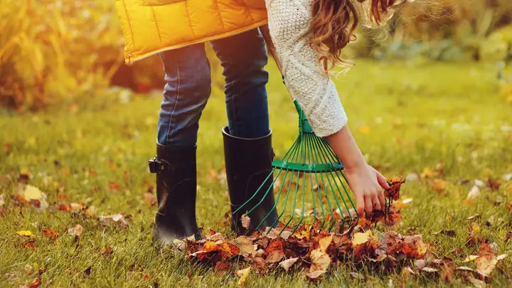 Fall Yard and Garden