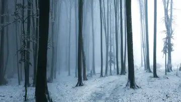 Hope in the Bleak Midwinter - December 4