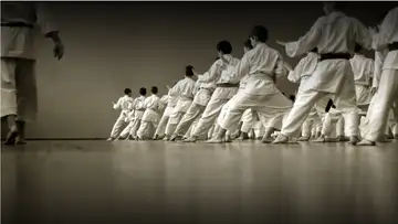 Karate’s Secret Origin