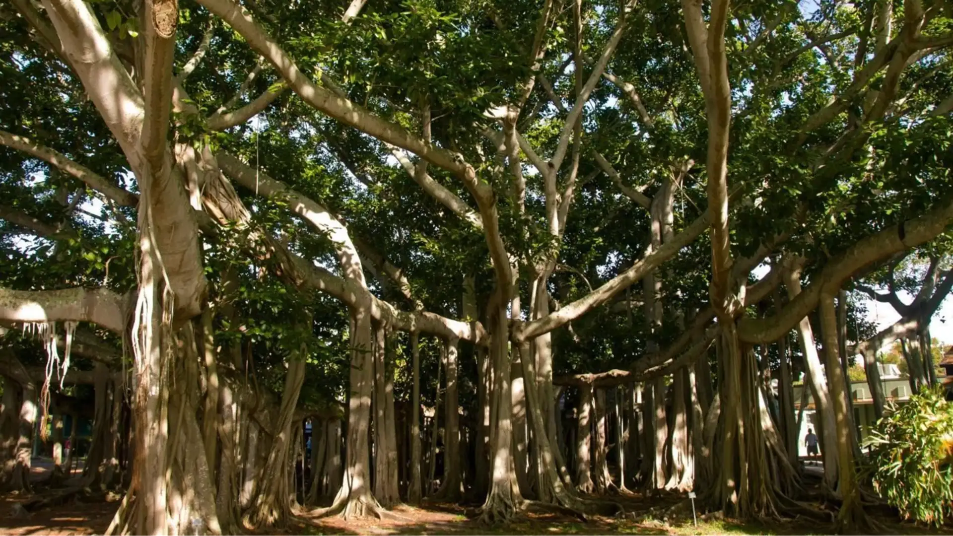 GOD'S EQUAL LOVE FOR ALL OF HIS CHILDREN