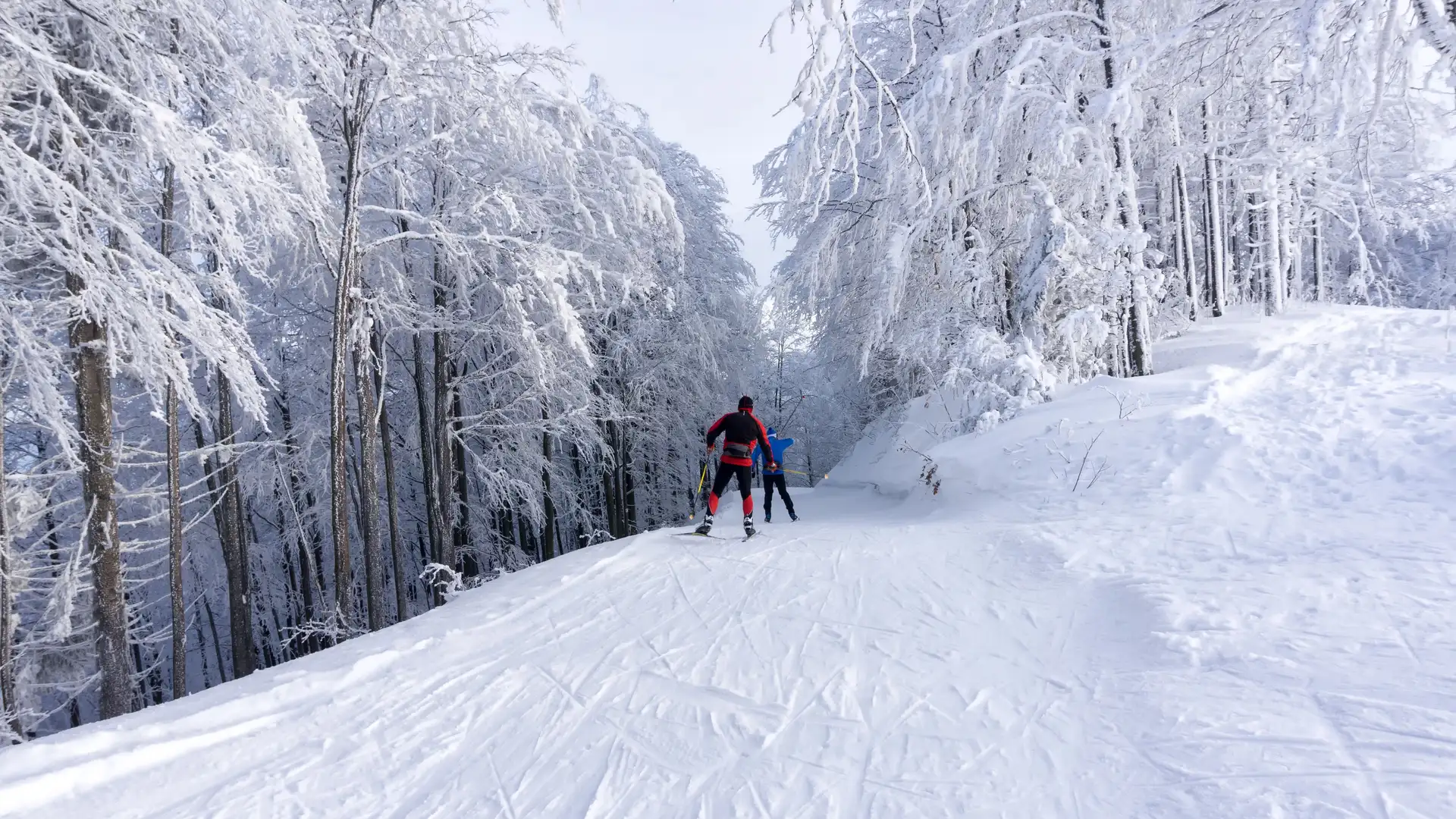 Choices and Decisions