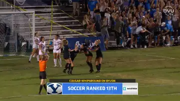 Cougar Whiparound 
