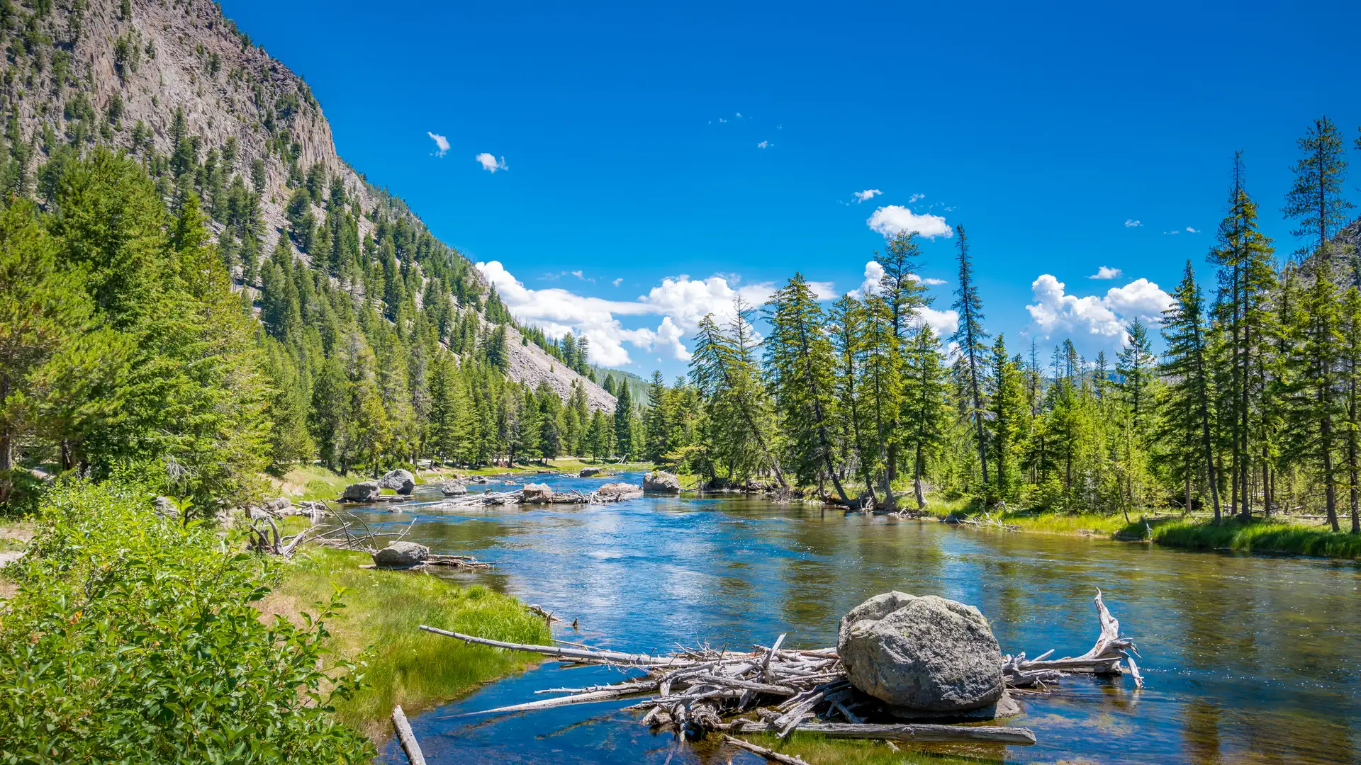 Exploring National Parks