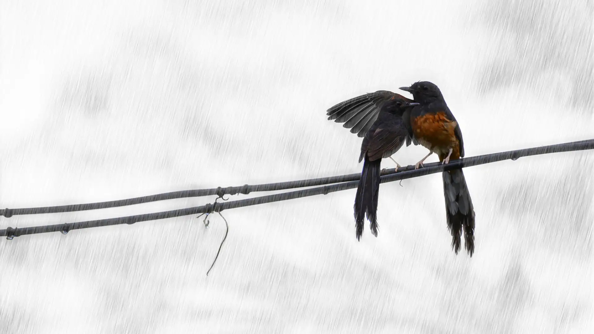 Pointing Others To Christ